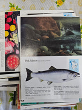 Load image into Gallery viewer, JOURNAL IN A DAY Fishing
